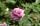 �p���l������u�@�{--�H���o���J�G�@�ӥR���Ӫ���¡�O�q������Ŷ�