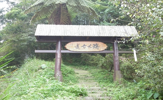 ̫ŵ
