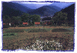 ˪LCְ